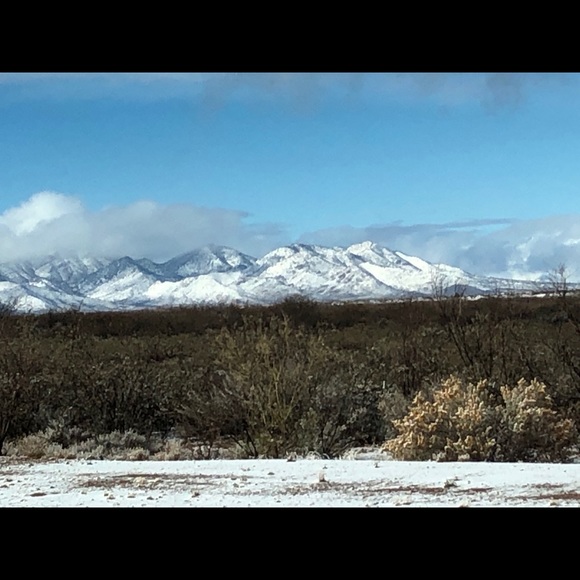 Meet your Posher, Denise - Picture 1 of 1